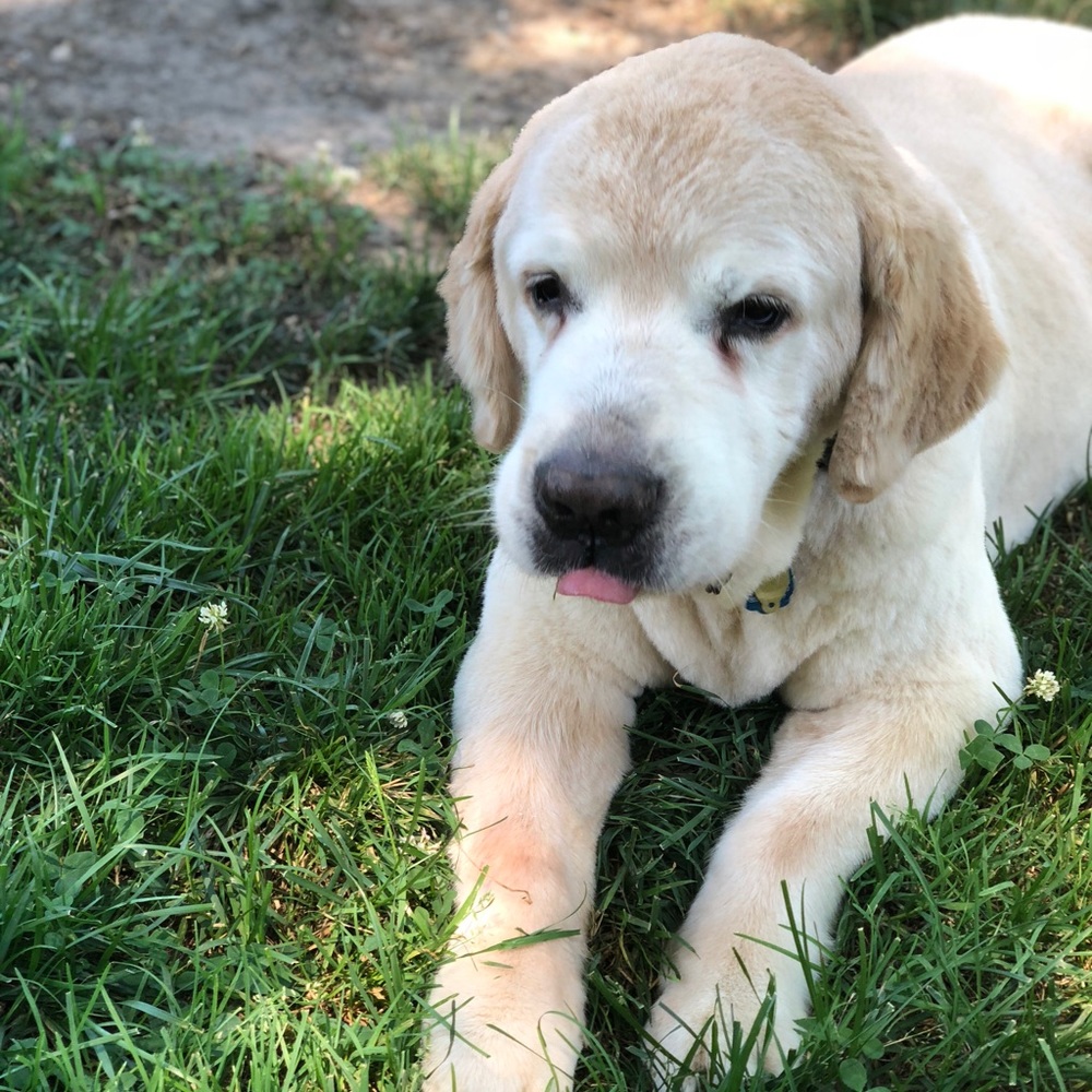 Meet your Posher, Mimi